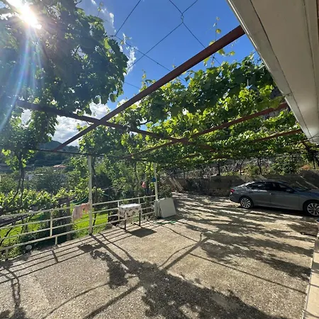 Bedena House Дом отдыха Kolonje (Gjirokaster)