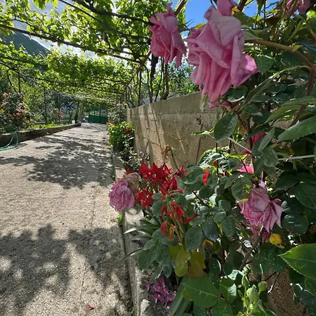 Bedena House Feriehus Kolonje (Gjirokaster)
