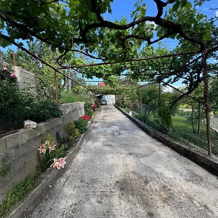 Bedena House 펜션 *