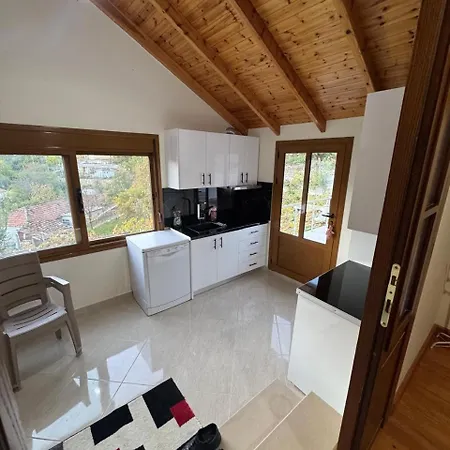 Bedena House * Kolonje (Gjirokaster)