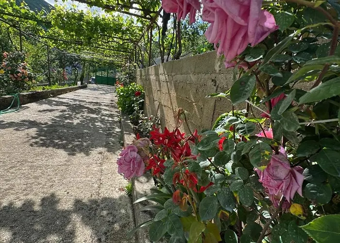 Bedena House Ferienhaus Kolonje (Gjirokaster)