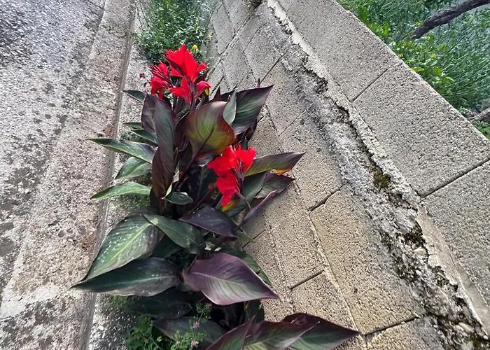 Ferienhaus Bedena House *