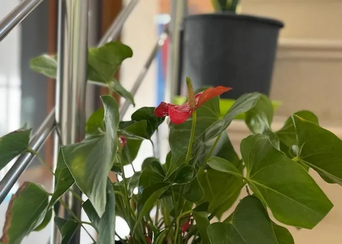 Ferienhaus Bedena House *