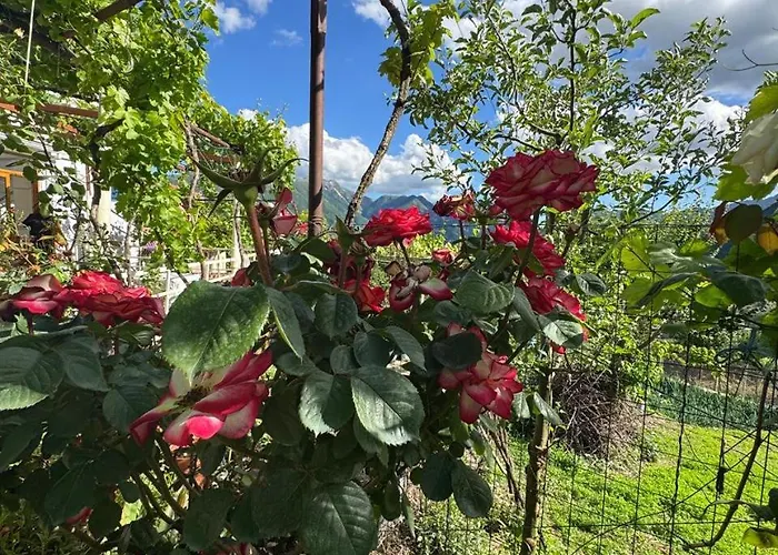 Ferienhaus Bedena House