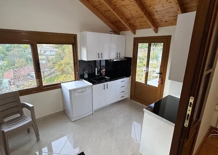 Bedena House * Kolonje (Gjirokaster)